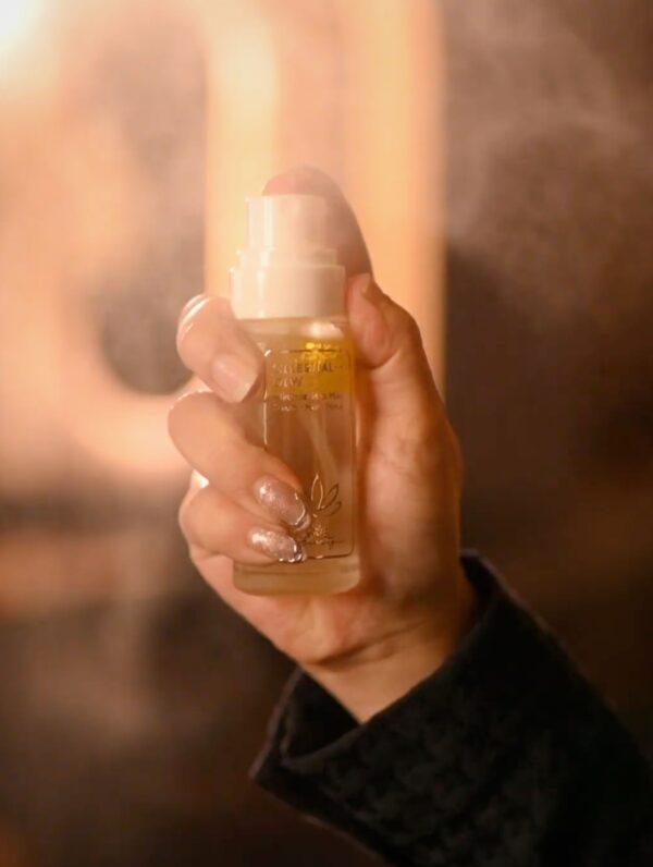 The Ultimate Value Combo (3+1)